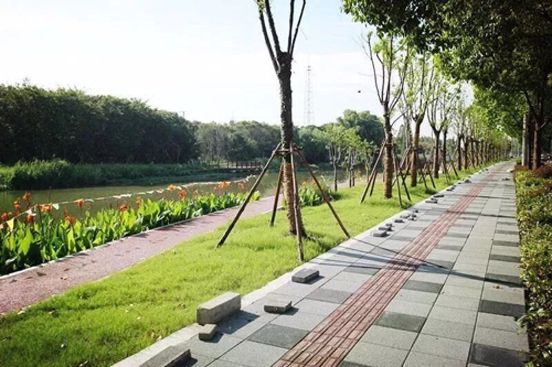 不朽情缘_首页官网入口